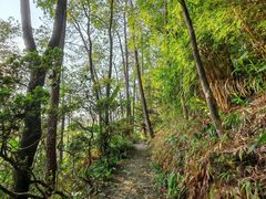 -南山植物园