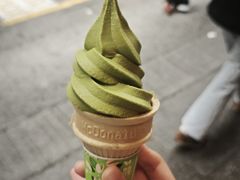 -九龙公园