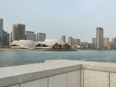 -金沙湖公园