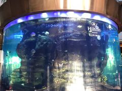 -OPEN開全日自助餐厅·牛肉火锅·海鲜(佛山希尔顿酒店)