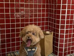 -花前月厦·海鲜餐厅(新领荟广场一店)