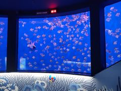 -沈阳海洋探索中心