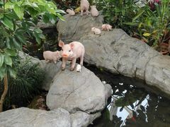 -北京植物园-展览温室