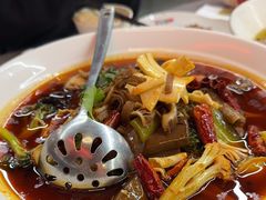 -香辣会·老牌川菜(骏豪店)