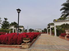 -美的鹭湖森林度假区