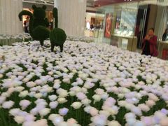 -万达广场(大明宫店)