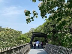 -福道