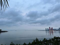 -万绿园