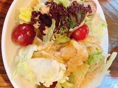 -大队长大灶鹅