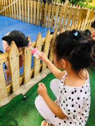 -萌宠亲子动物乐园(槐房万达店)