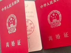 -王丽律师团队·专注婚姻家事(黄浦店)