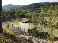 -碧水湾温泉