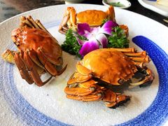 清蒸淡水阳澄湖大闸蟹-如轩·海鲜砂锅粥·潮汕菜(三乡店)