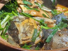 -九道菜有鸡鱼头(石鼓路店)