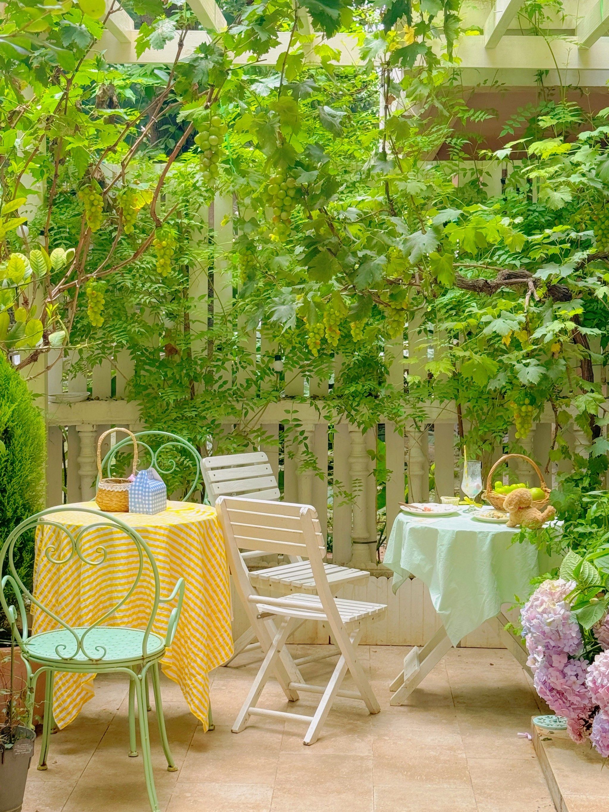 夏日午后的花园小憩