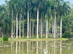 -中国科学院西双版纳热带植物园
