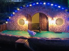 -南宫五洲植物乐园