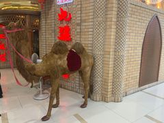 -北疆饭店(吴江店)
