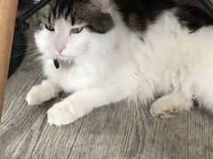 -小时光咖啡馆(北锣鼓巷店)