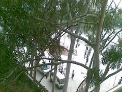 -火炉山森林公园