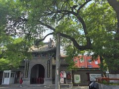 -洛阳周公庙博物馆