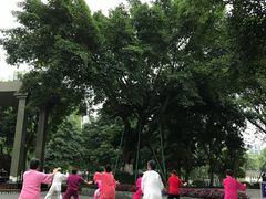 -温江公园