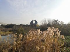 -长广溪湿地公园