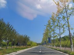 -茅山东方盐湖城景区