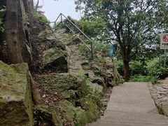 -紫金山山顶公园