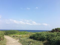 -龙坑生态保护区