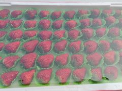 -西郊国际农产品交易中心