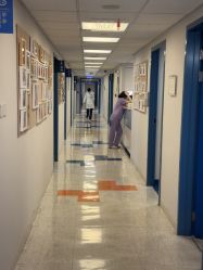 -杭州贝瑞斯美华妇儿医院·早孕·产检·儿科