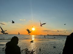 -老虎石海上公园