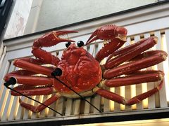 -蟹道乐(道顿堀本店)