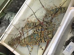 -拉威海鲜市场
