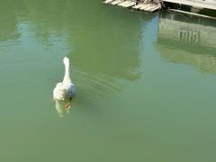 -乌村