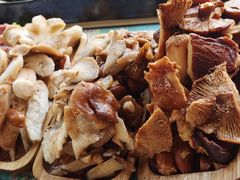 奶浆菌-云朵小院·石锅鱼·野生菌餐厅(蒗放店)