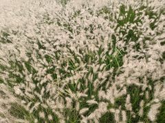 -汉长安城未央宫国家考古遗址公园