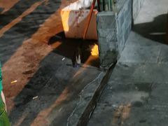-周肥肠(江油总店)