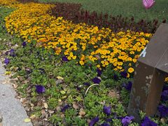 -济南国际园博园