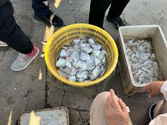 -红星码头