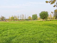 -汉长安城未央宫国家考古遗址公园