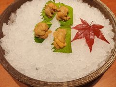 -月龍吟(朝龙汇店)
