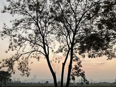 -汉长安城未央宫国家考古遗址公园