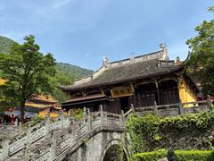 -天目山大树王景区