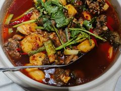 -高坎一品甲鱼庄(两河店)