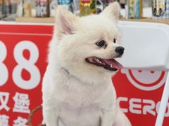 -VT101维多利广场
