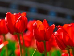 -长春公园(普阳街道)