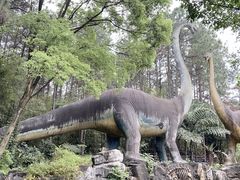 -森波拉火山温泉