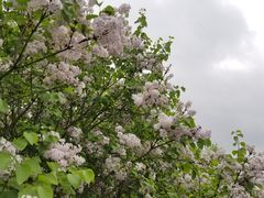 -汉景帝阳陵博物院